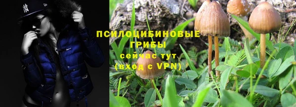 дживик Зеленодольск